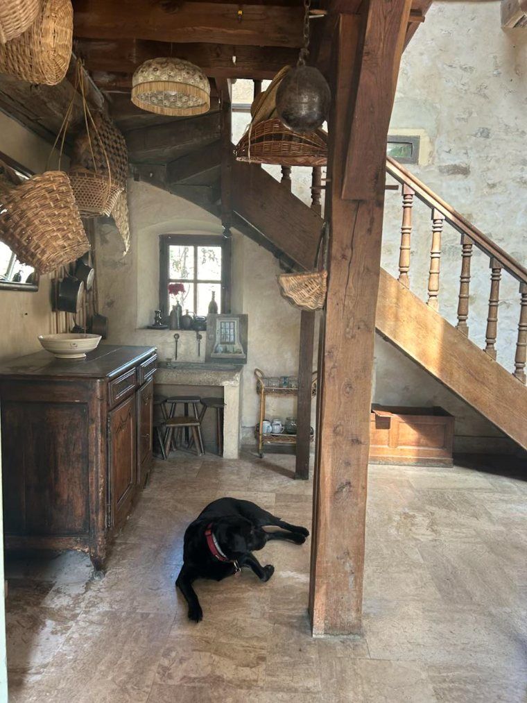 Le chien de la maison endormi sur les dalles de la grange