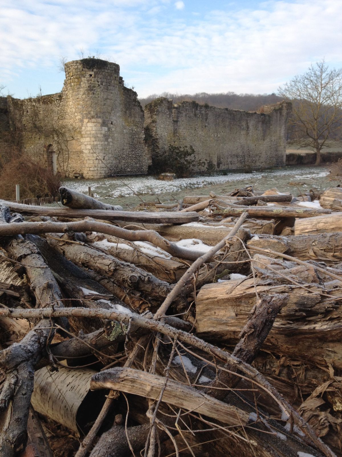 La tour derrière le bois coupé pour l’hiver