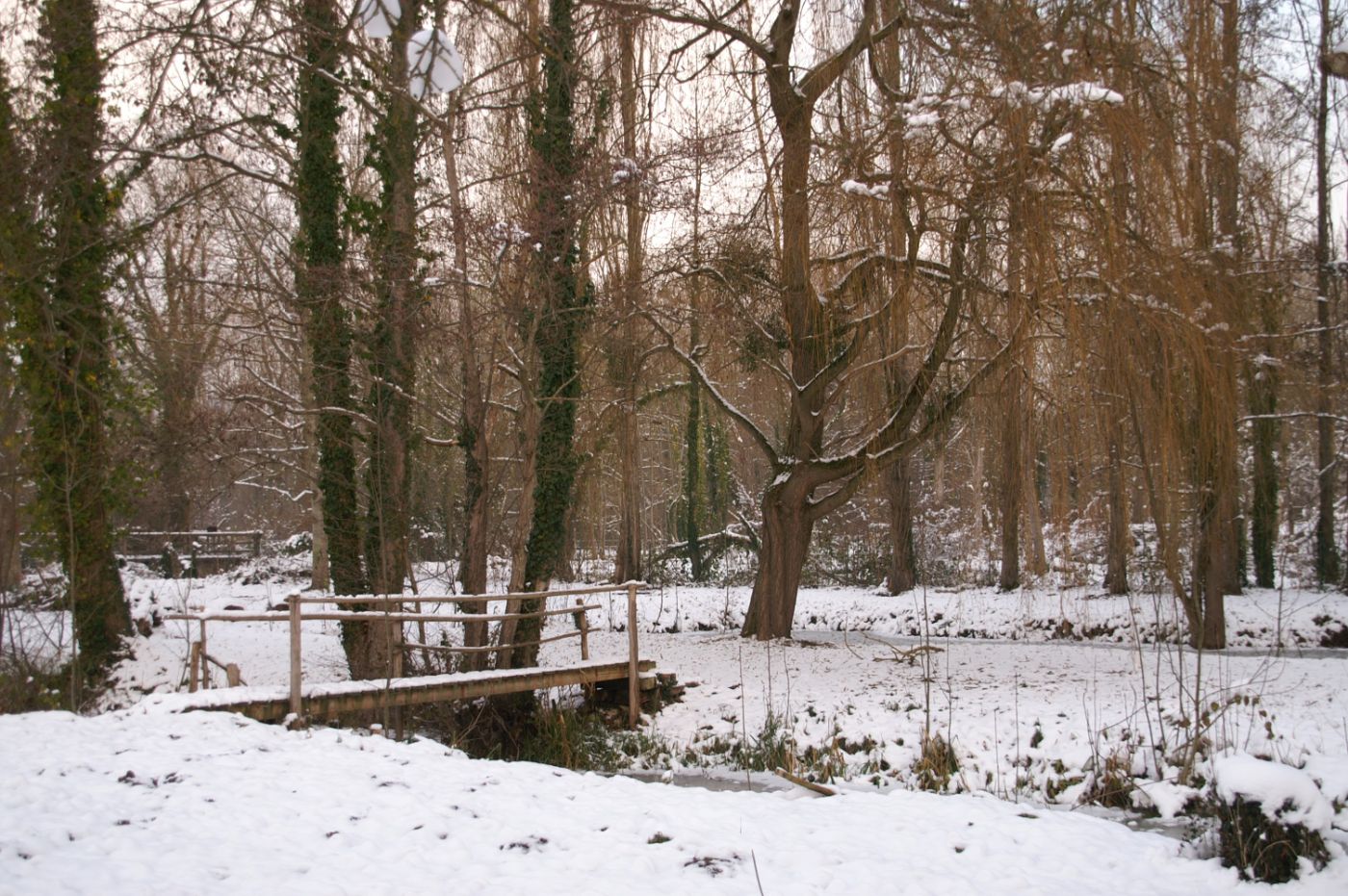 La passerelle et les saules sous la neige