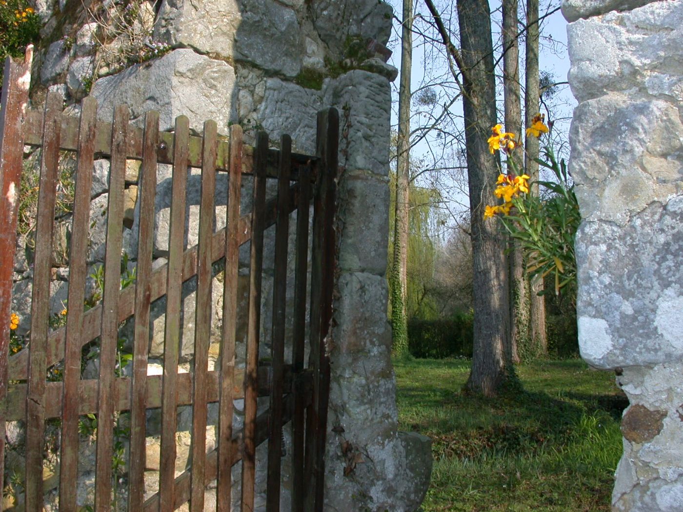 Le portail de bois et les giroflées