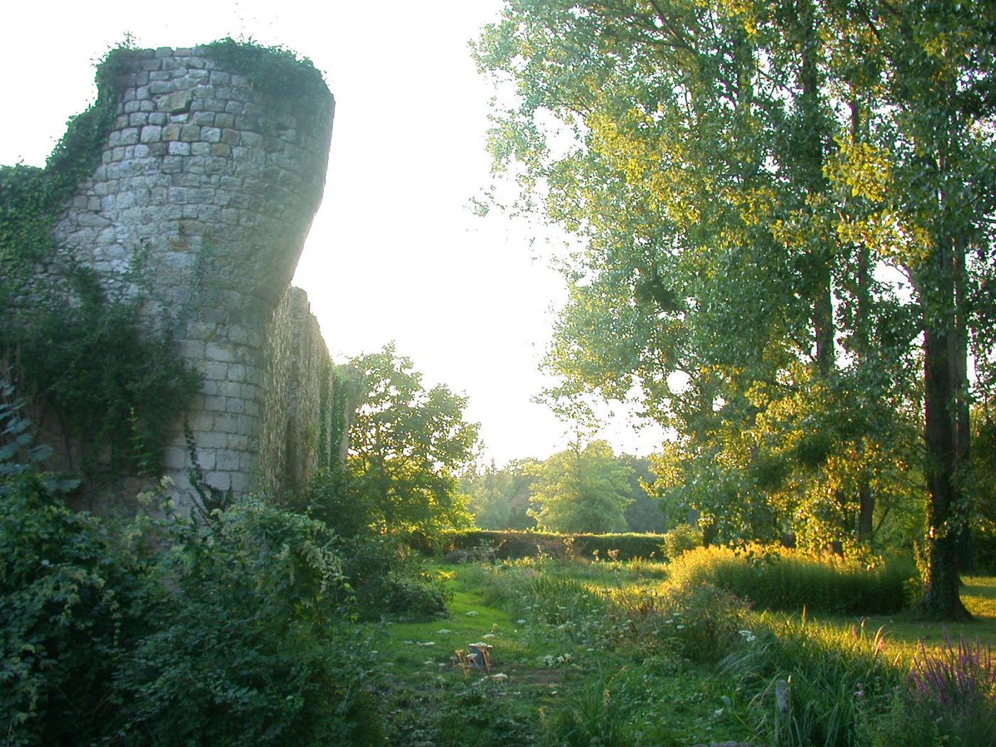 La tour à contre-jour, un soir d’été