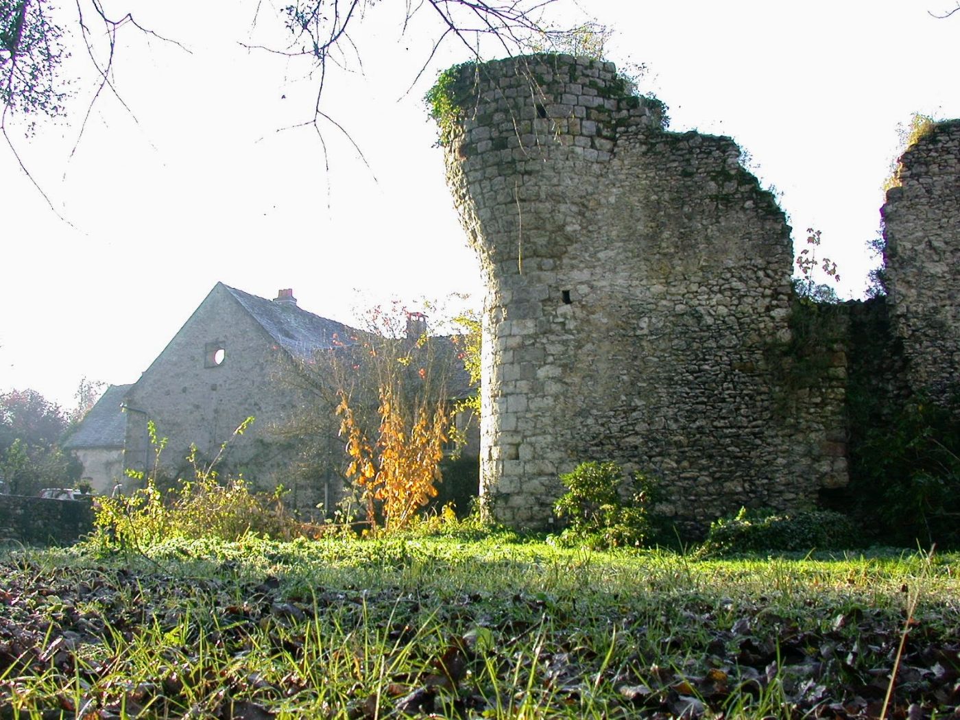 La tour et le pignon dans le givre